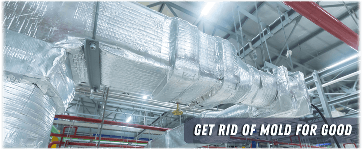 Air Duct Mold Removal in West Palm Beach